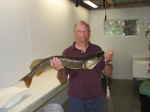 northern pike caught on Bass Lake near Grand Rapids, MN