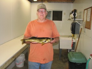 minnesota walleye fishing