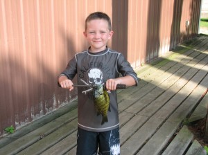 MN panfishing on Bass Lake