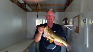 mn fall fishing, largemouth bass fishing