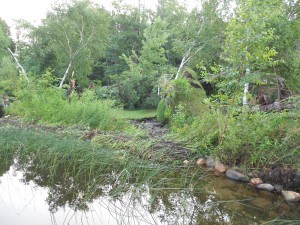 Minnesota fishing vacation