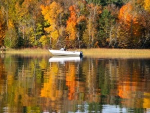 mn fall color tours