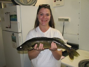 minnesota walleye fishing