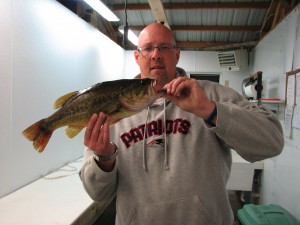 mn bass fishing