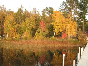 mn fall colors