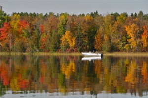 mn fall fishing