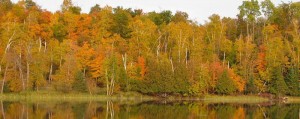 mn fall colors