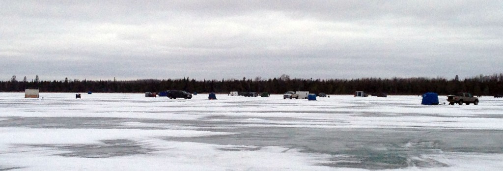 bluegill ice fishing