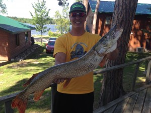 minnesota northern pike