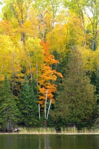 minnesota_fall_color_tours