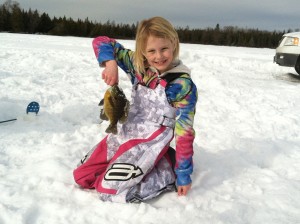 minnesota snowmobiling