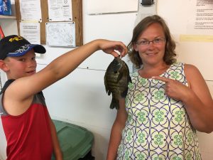 MINNESOTA BLUEGILL