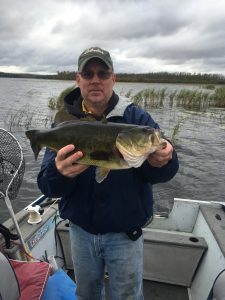 minnesota largemouth bass fishing