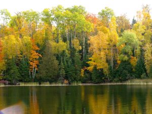minnesota fall color tours