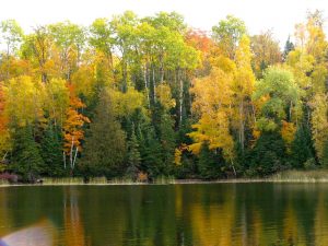 minnesota fall color tours