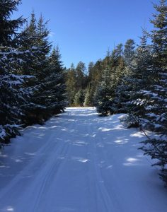 mn snowmobiling