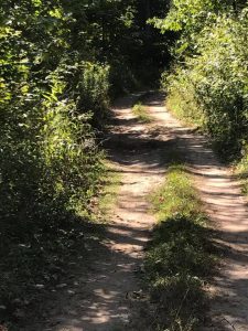 atving in minnesota