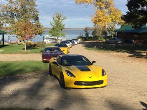 fall color drives