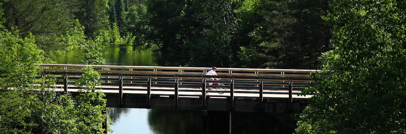 Mesabi Trail