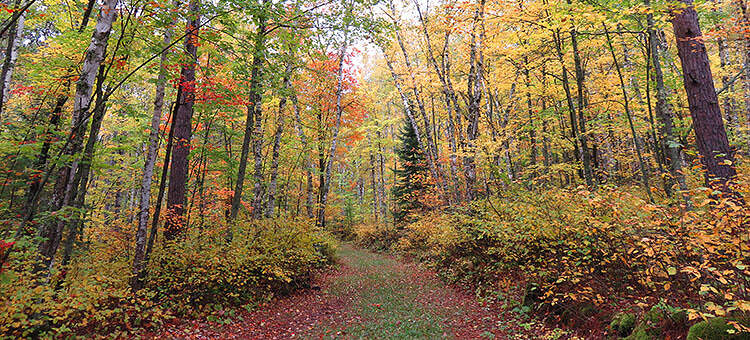 Taconite Trail